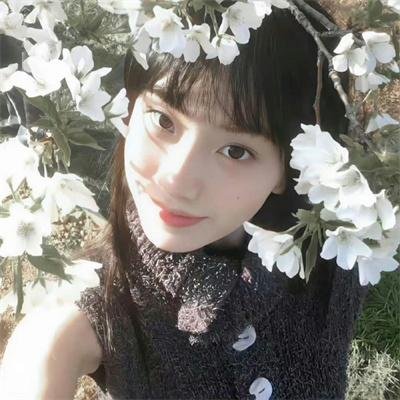野放动物 高清封面